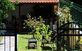 Studio Theano